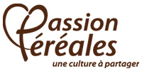 design sonore et musique